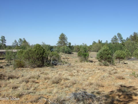 Tiny photo for Lot C Lamb Drive, Pinedale, AZ 85934 (MLS # 262576)