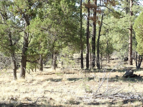 Tiny photo for Lot C Lamb Drive, Pinedale, AZ 85934 (MLS # 262576)