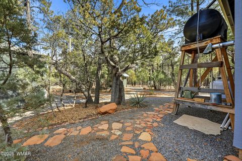 Tiny photo for 2056 Lone Mountain, Overgaard, AZ 85933 (MLS # 259413)