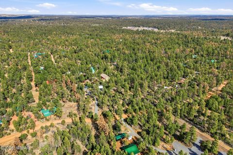 Tiny photo for 2056 Lone Mountain, Overgaard, AZ 85933 (MLS # 259413)