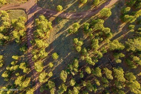 Tiny photo for 7 N County Road #1332 Street, Greer, AZ 85927 (MLS # 255324)