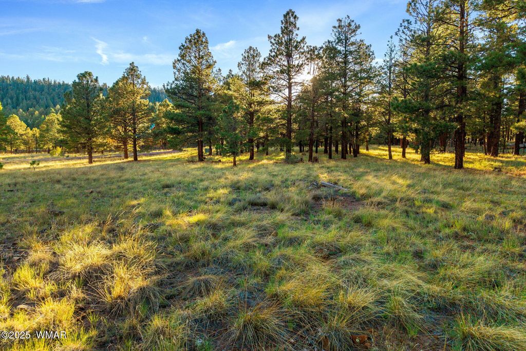 Photo for 7 N County Road #1332 Street, Greer, AZ 85927 (MLS # 255324)
