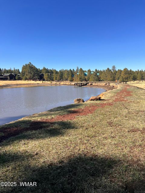 Tiny photo for 7 N County Road #1332 Street, Greer, AZ 85927 (MLS # 255324)