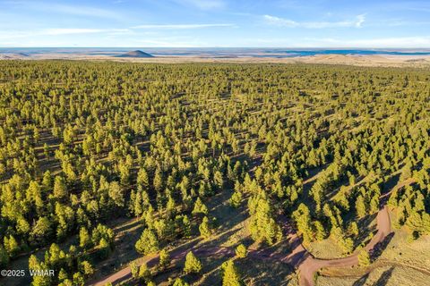 Tiny photo for 7 N County Road #1332 Street, Greer, AZ 85927 (MLS # 255324)