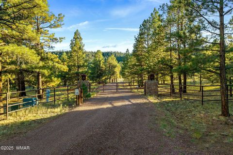 Tiny photo for 7 N County Road #1332 Street, Greer, AZ 85927 (MLS # 255324)