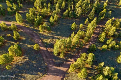 Tiny photo for 7 N County Road #1332 Street, Greer, AZ 85927 (MLS # 255324)