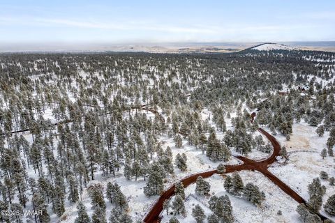 Tiny photo for 7 N County Road #1332 Street, Greer, AZ 85927 (MLS # 255324)