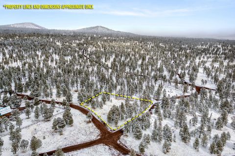 Tiny photo for 7 N County Road #1332 Street, Greer, AZ 85927 (MLS # 255324)