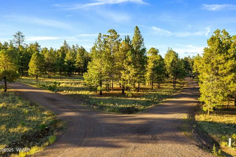 Tiny photo for 7 N County Road #1332 Street, Greer, AZ 85927 (MLS # 255324)