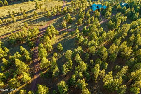 Tiny photo for 7 N County Road #1332 Street, Greer, AZ 85927 (MLS # 255324)