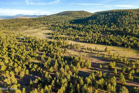 Tiny photo for 7 N County Road #1332 Street, Greer, AZ 85927 (MLS # 255324)
