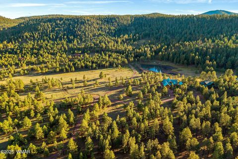 Tiny photo for 7 N County Road #1332 Street, Greer, AZ 85927 (MLS # 255324)