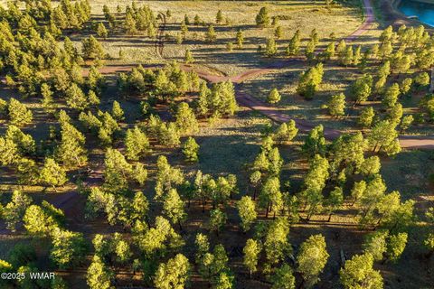 Tiny photo for 7 N County Road #1332 Street, Greer, AZ 85927 (MLS # 255324)