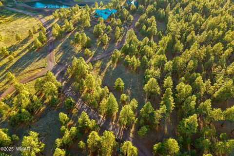 Tiny photo for 7 N County Road #1332 Street, Greer, AZ 85927 (MLS # 255324)