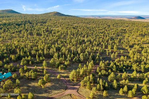 Tiny photo for 7 N County Road #1332 Street, Greer, AZ 85927 (MLS # 255324)