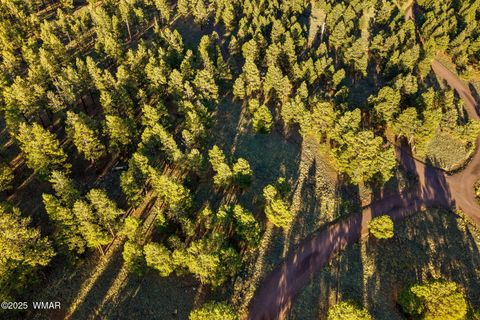 Tiny photo for 7 N County Road #1332 Street, Greer, AZ 85927 (MLS # 255324)