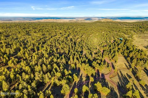 Tiny photo for 7 N County Road #1332 Street, Greer, AZ 85927 (MLS # 255324)