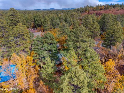 Tiny photo for 3978 E Bermuda Circle, Pinetop, AZ 85935 (MLS # 258594)