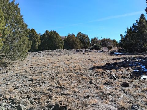 Tiny photo for 8850 Happy Trail, Show Low, AZ 85901 (MLS # 259366)