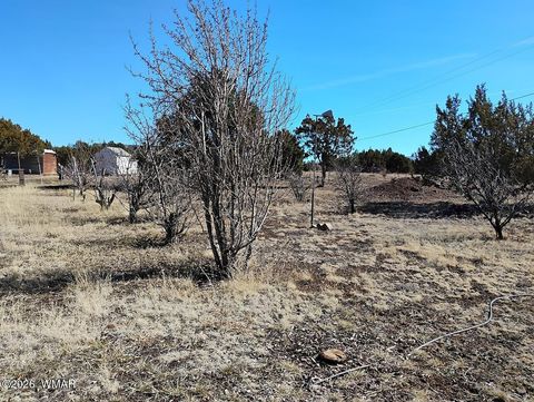 Tiny photo for 8850 Happy Trail, Show Low, AZ 85901 (MLS # 259366)