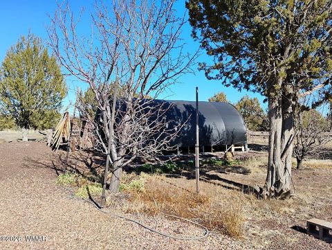 Tiny photo for 8850 Happy Trail, Show Low, AZ 85901 (MLS # 259366)