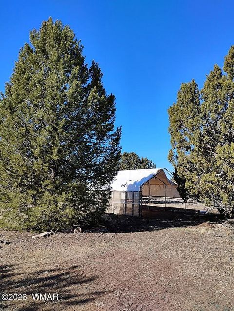 Tiny photo for 8850 Happy Trail, Show Low, AZ 85901 (MLS # 259366)