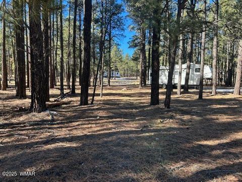 Tiny photo for TBD CR N2121, Alpine, AZ 85920 (MLS # 258850)