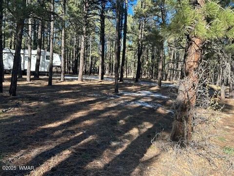 Tiny photo for TBD CR N2121, Alpine, AZ 85920 (MLS # 258850)