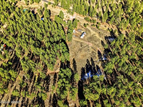 Tiny photo for TBD CR N2121, Alpine, AZ 85920 (MLS # 258850)