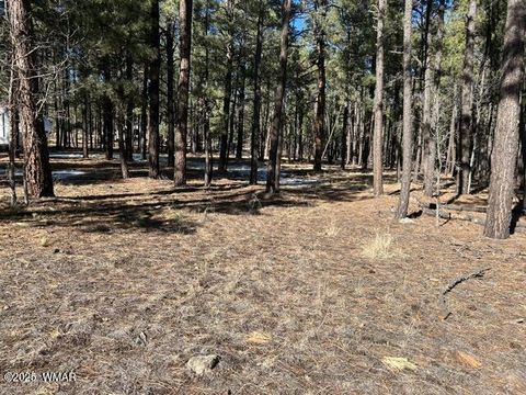 Tiny photo for TBD CR N2121, Alpine, AZ 85920 (MLS # 258850)