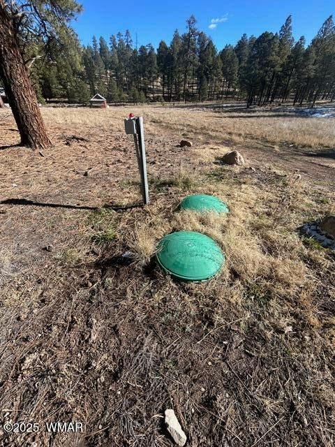 Tiny photo for TBD CR N2121, Alpine, AZ 85920 (MLS # 258850)