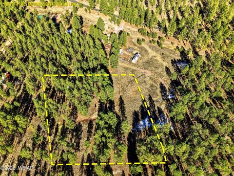 Photo of TBD CR N2121, Alpine, AZ 85920 (MLS # 258850)