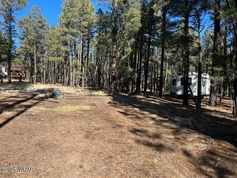 Tiny photo for TBD CR N2121, Alpine, AZ 85920 (MLS # 258850)