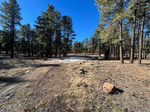 Tiny photo for TBD CR N2121, Alpine, AZ 85920 (MLS # 258850)
