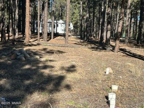 Tiny photo for TBD CR N2121, Alpine, AZ 85920 (MLS # 258850)