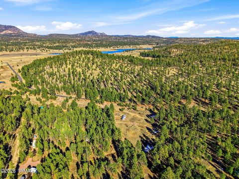 Tiny photo for TBD CR N2121, Alpine, AZ 85920 (MLS # 258850)