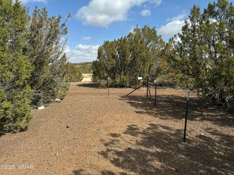 Tiny photo for 3187 TBD, Vernon, AZ 85940 (MLS # 255219)