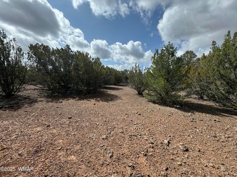 Tiny photo for 3187 TBD, Vernon, AZ 85940 (MLS # 255219)