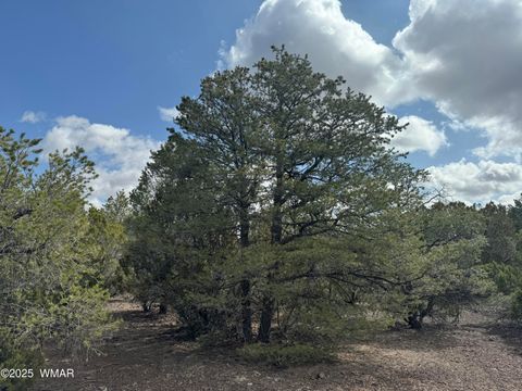 Tiny photo for 3187 TBD, Vernon, AZ 85940 (MLS # 255219)