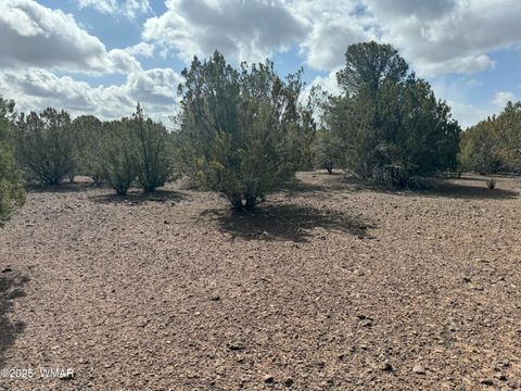 Tiny photo for 3187 TBD, Vernon, AZ 85940 (MLS # 255219)