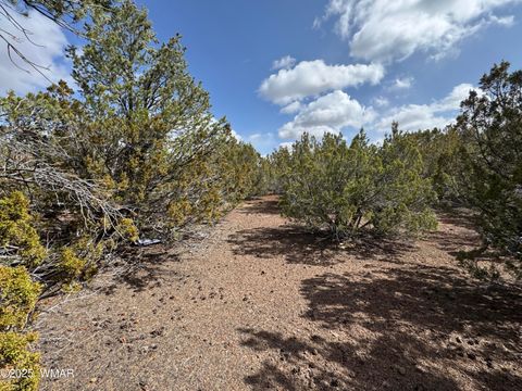 Tiny photo for 3187 TBD, Vernon, AZ 85940 (MLS # 255219)