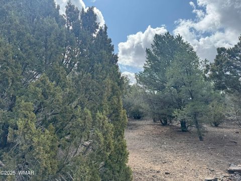 Tiny photo for 3187 TBD, Vernon, AZ 85940 (MLS # 255219)