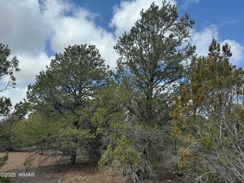 Tiny photo for 3187 TBD, Vernon, AZ 85940 (MLS # 255219)