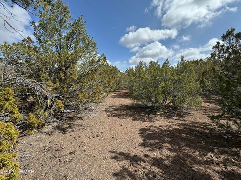 Tiny photo for 3187 TBD, Vernon, AZ 85940 (MLS # 255219)