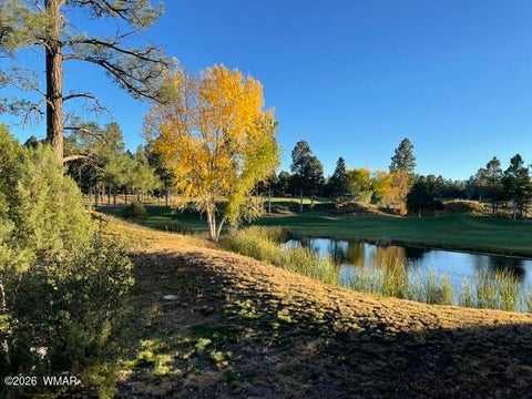 Tiny photo for 4010 Sugar Pine Loop, Show Low, AZ 85901 (MLS # 263079)