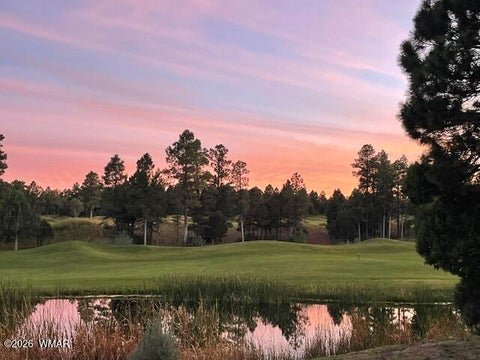 Tiny photo for 4010 Sugar Pine Loop, Show Low, AZ 85901 (MLS # 263079)