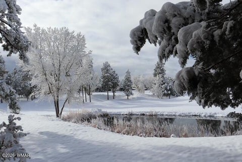 Tiny photo for 4010 Sugar Pine Loop, Show Low, AZ 85901 (MLS # 263079)