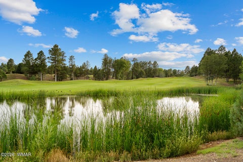 Tiny photo for 4010 Sugar Pine Loop, Show Low, AZ 85901 (MLS # 263079)