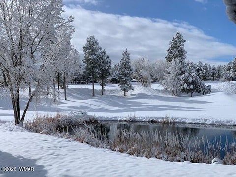 Tiny photo for 4010 Sugar Pine Loop, Show Low, AZ 85901 (MLS # 263079)