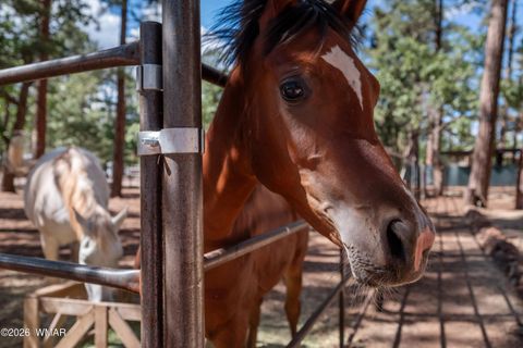 Tiny photo for 1659 Mormon Road, Happy Jack, AZ 86024 (MLS # 260171)
